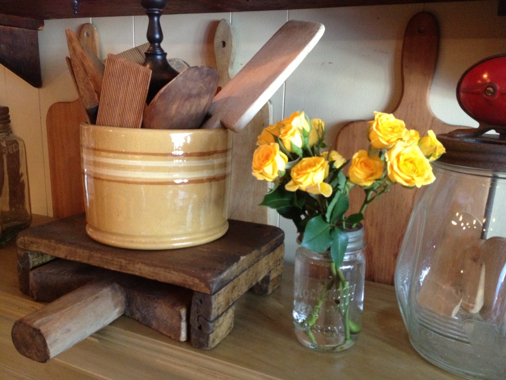 Roses aren't just for Valentine Day