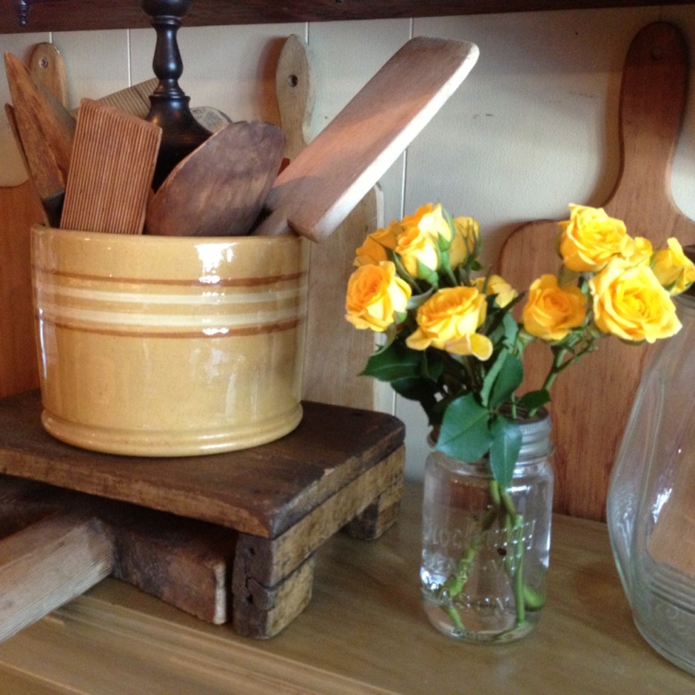 Roses aren't just for Valentine Day