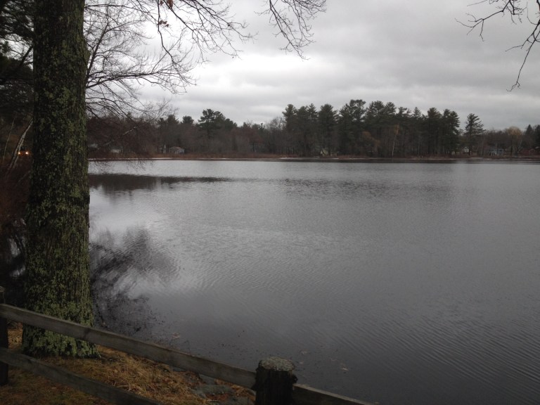 Winter on Flanagan Pond