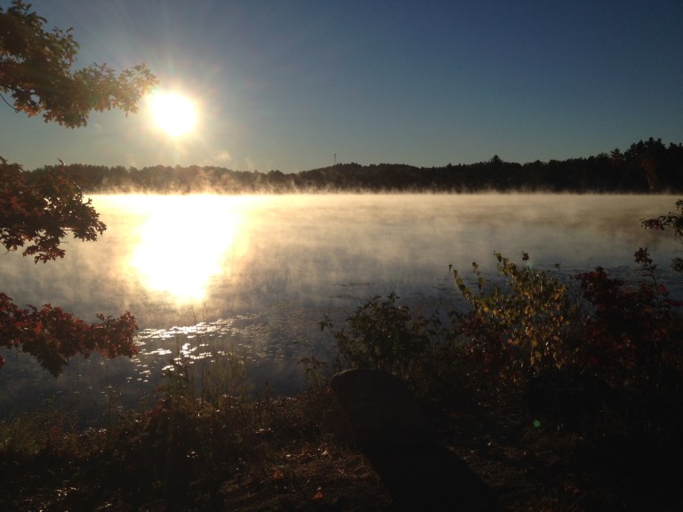 No Snow, No Ice, That’s Nice